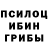 Псилоцибиновые грибы Psilocybine cubensis Arina Pa