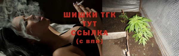 дмт Арсеньев