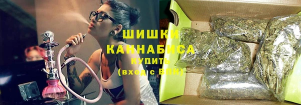 дмт Арсеньев