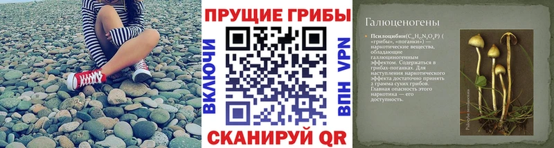 кракен маркетплейс  закладка  Краснослободск  Галлюциногенные грибы Cubensis 
